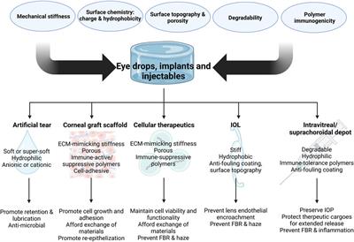 Roles of biomaterials in modulating the innate immune response in ocular therapy